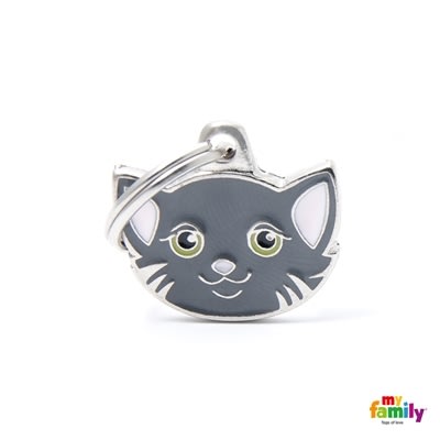 MY FAMILY FRIENDS GREEY EUROPEAN SHORTHAIR