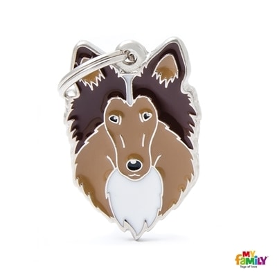 MY FAMILY FRIENDS COLLIE