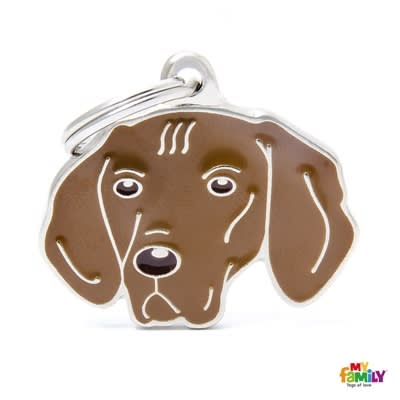 MY FAMILY FRIENDS VIZSLA1