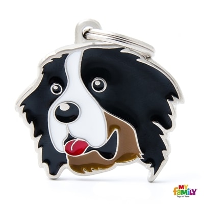 MY FAMILY FRIENDS BERNESE MOUNTAIN DOG
