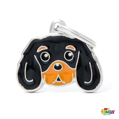 MY FAMILY FRIENDS CAVALIER KING NEGRO Y CASTAÑO1