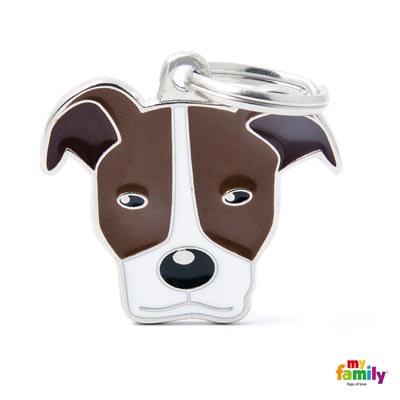 MY FAMILY FRIENDS BROWN AND WHITE AMERICAN PIT BULL TERRIER1