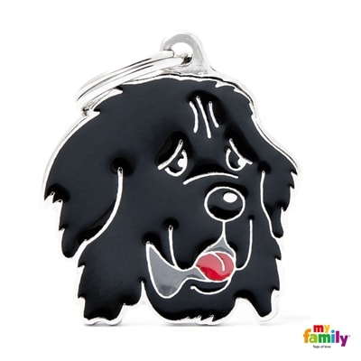 MY FAMILY FRIENDS TERRANOVA