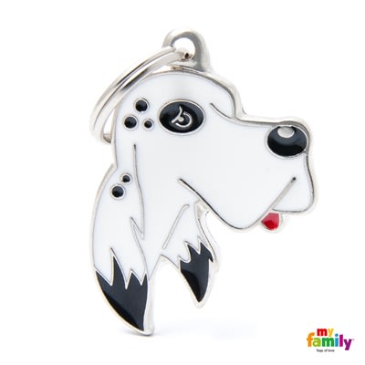 MY FAMILY FRIENDS SETTER INGLÉS