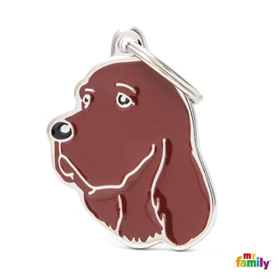 MY FAMILY FRIENDS IRISH SETTER1