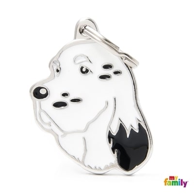 MY FAMILY FRIENDS SETTER INGLESE