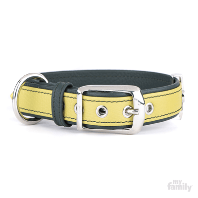 MY FAMILY COLLAR FIRENZE - CUERO - LIMA - CIRC. 54/64 CM1