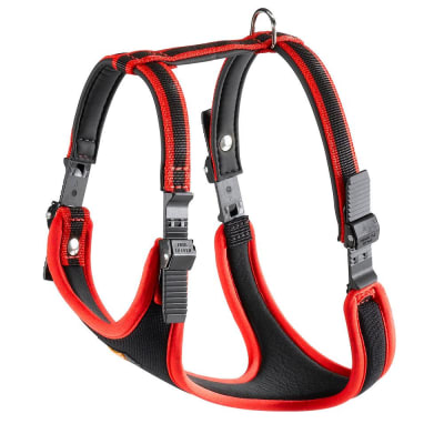 FERPLAST ARNES ERGOCOMFORT LINEAR ROJO (XS-S)1
