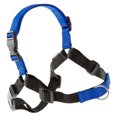 FERPLAST ARNES COACH ANTI JALONES AZUL
