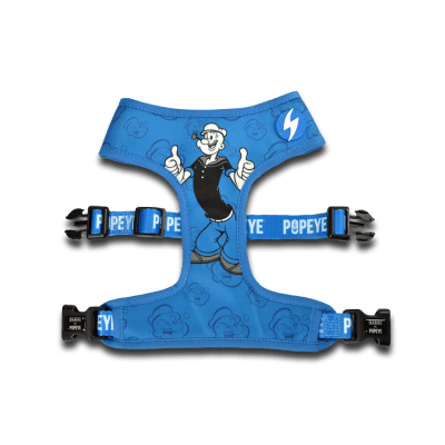 DASHI PECHERA POPEYE NEO MESH XS