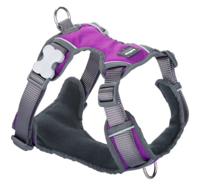 REDDINGO HARNES PURPLE1