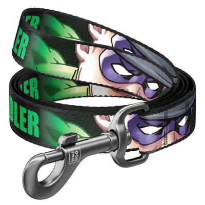 WAUDOG CORREA NYLON RIDDLER (M)1