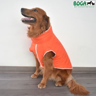 BOGA CHALECO PUFFER NARANJA RAZA MEDIANA Y GRANDE1