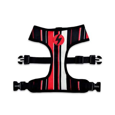 DASHI PECHERA SLIDE NEO MESH