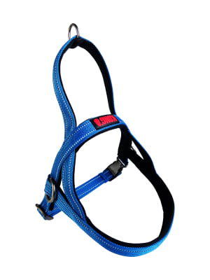 KONG ARNES NORWEGIAN (AZUL)