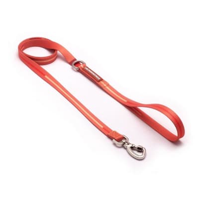 CACHORREIROS CORREA/TIRO MODELO CORAL- PEQUEÑA