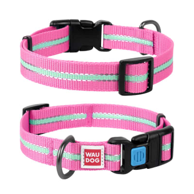 WAUDOG COLLAR NYLON BRILLA EN LA OSCURIDAD,HEBILLA FASTEX DE PLASTICO