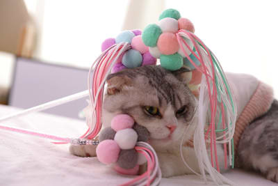 HOOPET VARILLA HADA KITTY
