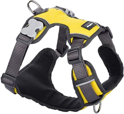 REDDINGO HARNES YELLOW