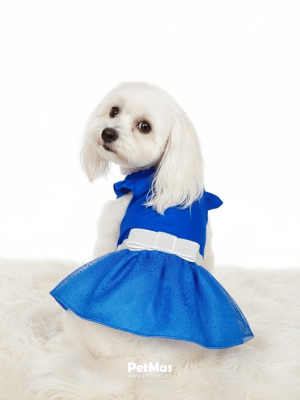 MONCHERI VESTIDO AZUL CON LAZO PLATEADO