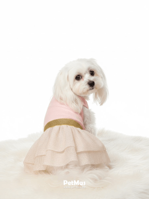 MONCHERI VESTIDO ROSADO CON LAZO DORADO