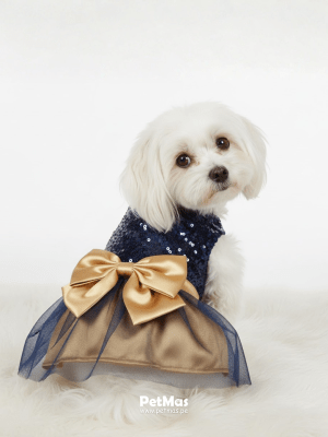 MONCHERI VESTIDO ELEGANTE AZUL/LENTEJUELA