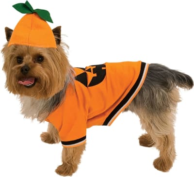 DISFRAZ PET COSTUME CALABAZA