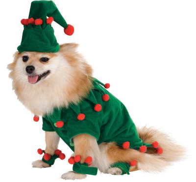 DISFRAZ PET COSTUME ELFO