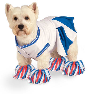 DISFRAZ PET COSTUME ANIMADORA