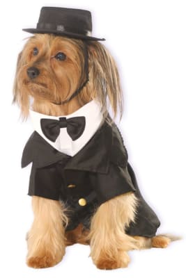 DISFRAZ PET COSTUME PERRITO APUESTO1