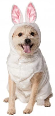 DISFRAZ CONEJO PET COSTUME