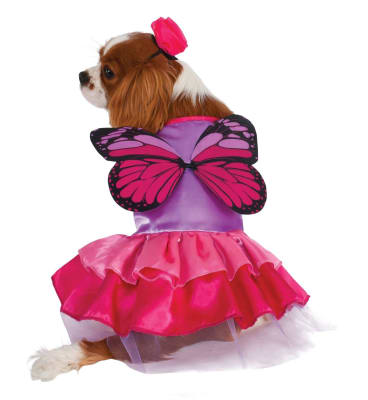DIAFRAZ VESTIDO DUENDECITO CON ALAS - PK/PR