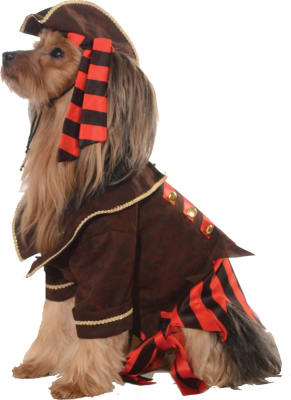 DISFRAZ PET COSTUME PIRATA