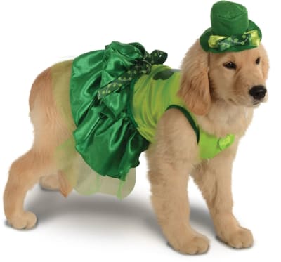 DISFRAZ PET COSTUME IRLANDESA