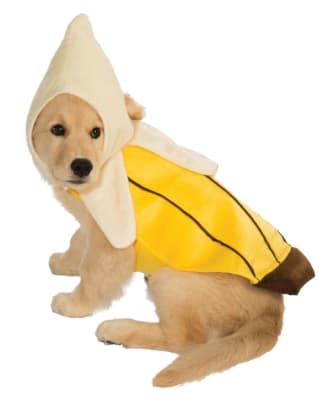DISFRAZ PET COSTUME BANANA