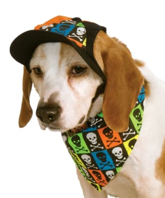 DISFRAZ PET NEON SKULL HAT/BANDAN1