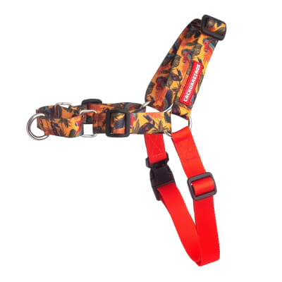 CACHORREIROS ARNES ANTI-JALONES MODELO GUYRÁ