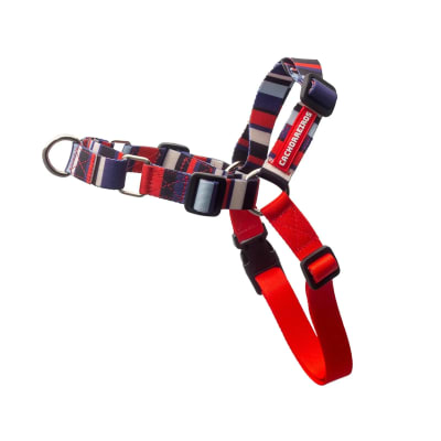 CACHORREIROS ARNES ANTI-JALONES MODELO NAUTICA- PEQUEÑO1