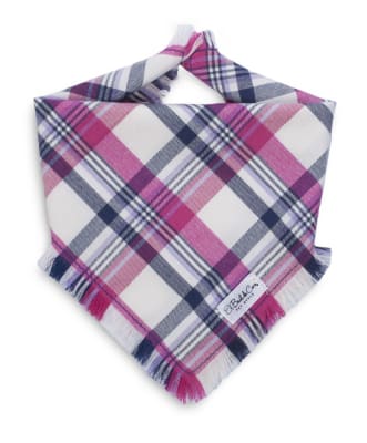 BAUL DE COCO BANDANA LALA CHIC BUBLE (SMALL)1