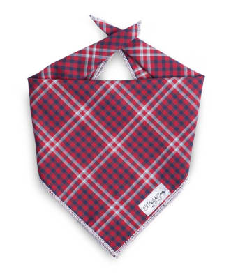 BAUL DE COCO BANDANA WELLINGTON (LARGE)1