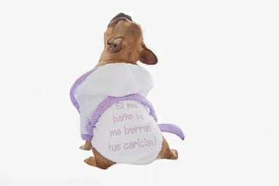 DON GATO BATA BORDADA HEMBRA1