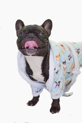 DON GATO BATA ESTAMPADA MACHO1