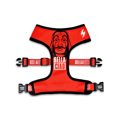 DASH PECHERA BELLA CIAO NEO MESH1