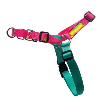 CACHORREIROS ARNES ANTI-JALONES MODELO OLIVIA1