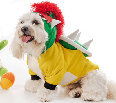 DISFRAZ SCRAPPIE SHOPPER BROWSER- TALLA 11