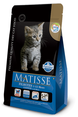 MATISSE CAT FILHOTES 1-12 MESES1