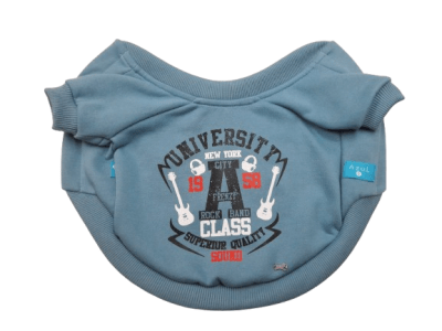 AZUL POLERA UNIVERSITY