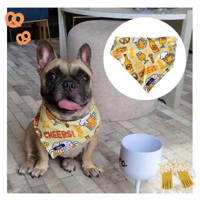 COSHUPET BANDANA CERVEZAS- SMALL