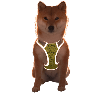 SIRIUS PECHERA - CITRUS1