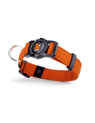 MY FAMILY MEMOPET COLLAR PARA PERRO NARANJA-LARGE